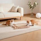 Cat Scratcher Sisal Scratching Pad Toy with Ball Track Wooden Interactive for Indoor Physical Exercise Kitty Medium Kitten Spring Chasing Hunting Mental Bored Adult Enrichment Toys Post