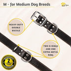 ADITYNA Heavy-Duty Leather Dog Collar for Medium Dogs - Soft Padded for Comfort - Black Dog Collar for Walking, Training, and Hiking