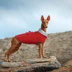 Lelepet Warm Dog Coat - Reflective Waterproof Fleece Vest with Adjustable Buckle Hook & Loop, Windproof Winter Jacket Dog Coats for Small Medium Large Dogs, Red, XXL