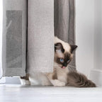 FindTape Cat Scratch Deterrent Tape [Double-Sided]: 2 in. (48mm actual) x 90 ft. (Transparent)