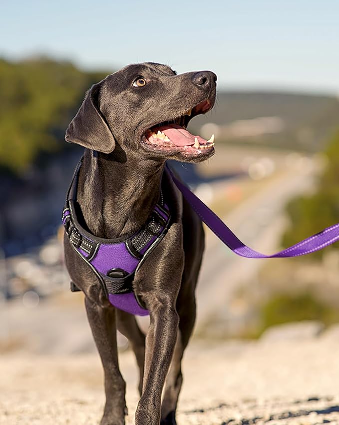 Joytale No Pull Dog Harness for Large Dogs, Reflective Pet Vest with Front Clip, Adjustable Soft Padded Harnesses with Easy Control Handle for Training and Walking, Purple, L