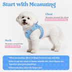 rabbitgoo Dog Harness Small Sized and Leash Set, Step in Soft Light Puppy Vest, Breathable Mesh Pet Harness, Reflective for Safe Easy Walking, Blue & Plaid Trim M