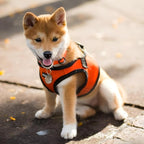 PUPPIA International PUAH305OR3L Soft Vest Harness, 3X-Large