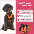 Gooby Comfort X Head in Harness - Orange, Medium - No Pull Small Dog Harness Patented Choke-Free X Frame - On The Go Dog Harness for Medium Dogs No Pull or Small Dogs for Indoor and Outdoor Use
