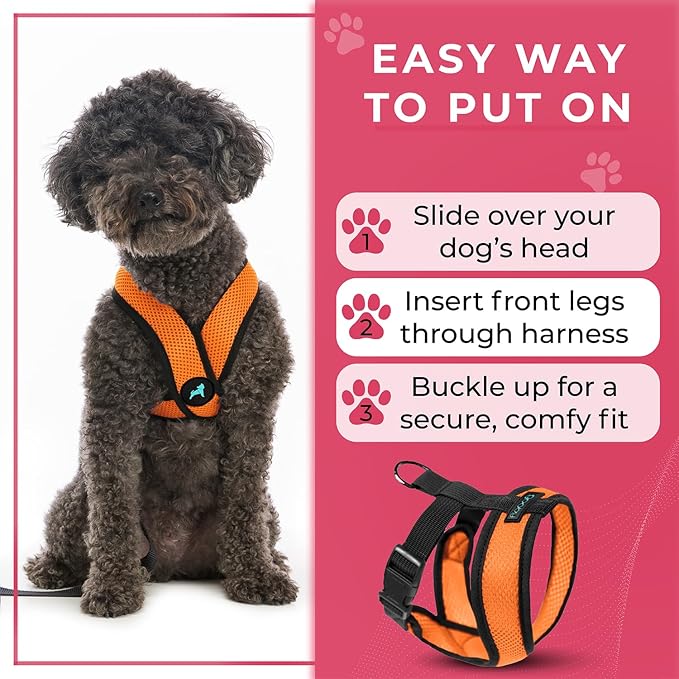 Gooby Comfort X Head in Harness - Orange, Medium - No Pull Small Dog Harness Patented Choke-Free X Frame - On The Go Dog Harness for Medium Dogs No Pull or Small Dogs for Indoor and Outdoor Use