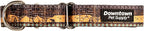 Downtown Pet Supply - Martingale Collar for Dogs - Big, Wide & Thick - Escape-Proof, Weatherproof, Durable & Comfortable - Sahara - Medium