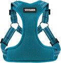 Best Pet Supplies Voyager Adjustable Step-in Flex Breathable Mesh Dog Harness for Small Medium Large Dogs (Turquoise), S
