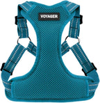 Best Pet Supplies Voyager Adjustable Step-in Flex Breathable Mesh Dog Harness for Small Medium Large Dogs (Turquoise), XL