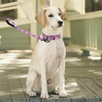 Martingale Collar and Leash Set, Premium No Slip Martingale Collar for Dogs Medium Large, Girl Dog Collars Training (NO1, L)