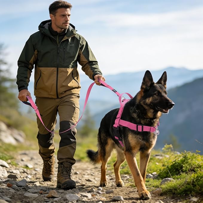 Annchwool No Pull Dog Harness with Front Clip and Easy Control Handle-Belly & Chest Adjustable Dog Harness and Leash Set for Small Medium Dogs-Heavy Duty Vest Harnesses Easy for Walking(Pink,S)