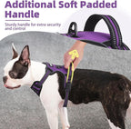 PUPTECK No Pull Dog Harness for Large, Adjustable Reflective Dog Harness with Handle Easy Control, Comfortable Soft Padded Pet Vest Harness for Large Dogs, Solid Purple L