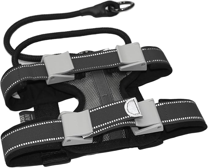 Cesar Millan Pack Leader Collar™ - Training Collar of The Dog Whisperer (Small, Grey) (Grey, M)