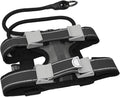 Cesar Millan Pack Leader Collar™ - Training Collar of The Dog Whisperer (Small, Grey) (Grey, M)