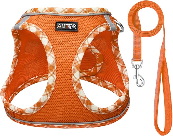 AMTOR Small Dog Harness with Leash Set, No Escape Easy Walk Puppy Harnesses for Training Walking, Step-in Reflective Soft Dogs Vest for XS S Medium Extra-Small Large Sized Dog(XS Size,Orange/White)