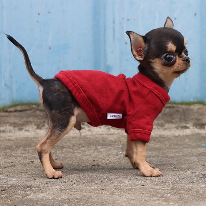 LOPHIPETS 100% Cotton Dog Tee Shirt for Small Dogs Teacup Chihuahua Yorkie Puppy Clothes-Red/XXS