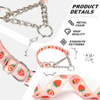 Pink Strawberry Martingale Dog Collar with Chain - No-Pull Training Collar Soft & Durable Design for Medium, Large & XL Dogs (Medium, Strawberry)