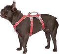 Huntboo No Escape Dog Harness, Escape Proof Harness, Fully Reflective Harness with Padded Handle, Breathable, Durable, Adjustable Vest for Small Dogs Walking,Training,and Running Gear(Red,S)