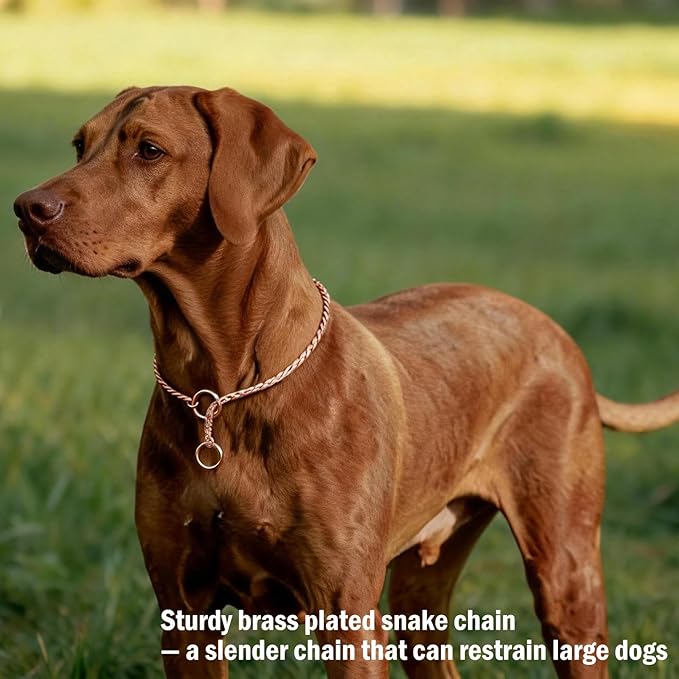 Heavy Duty Dog Choke Collar Slip Dog P Chain Snake Collar Plating Anti-Rust Dog Training Collars for Small Large Dogs Black/Gold/Silver/Rose Gold 15.5in-29.5in (17.5in, Rose Gold)