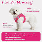 rabbitgoo Dog Harness Small Sized and Leash Set, Step in Soft Light Puppy Vest, Breathable Mesh Pet Harness, Reflective for Safe Easy Walking, Rosa Red XXXS