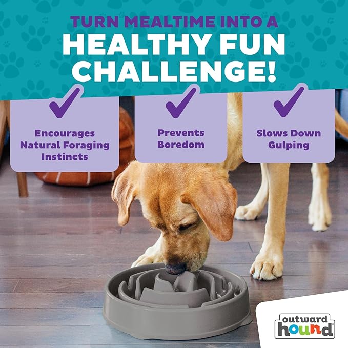 Outward Hound Fun Feeder Slo Bowl – Large 4‑Cup Capacity,Slow Feeding,Medium to Large Dogs,Non‑Slip,Gray,Drop Pattern,(Pack of 6)