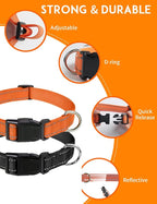 PaiPaitek Replacement Shock Collar Strap with Metal Ring, Reflective Nylon, Black/Orange, 3/4 Inch x 28 Inch, Compatible with Multiple Training Collars, 2 Packs