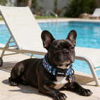 ARING PET Summer Dog Collar, Cute Blue Ice Pop Ice Cream Pet Collars for Puppy Small Medium Large Female Girl Dogs-XS, for Daily Walking Training Beach Outdoor Play