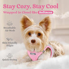 rabbitgoo Small Dog Harness, Step-in Soft Mesh Puppy Vest with Safety Buckle, Breathable Reflective Pet Harness for Extra Small Dogs, Pink & Gray XXS