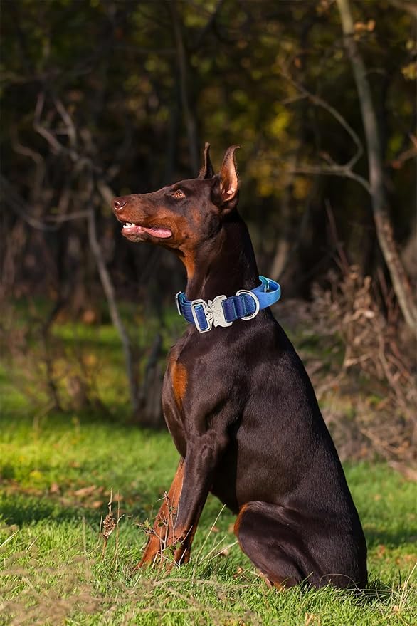 Tactical Dog Collar, 1.5" Wide Thick Heavy Duty Dog Collar with Handle, Soft Neoprene Padded Military-Grade Nylon Training Collar with Quick Release Metal Buckle for Large Dogs (Blue, L,XL)