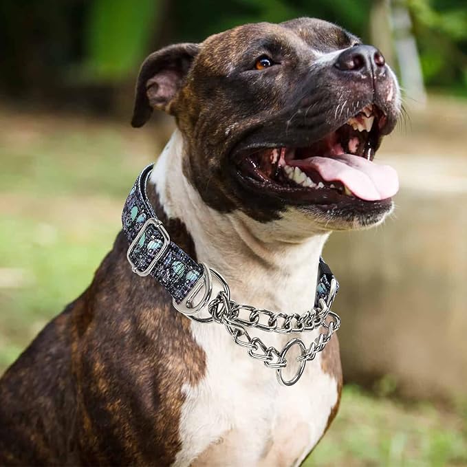 Martingale Dog Collar with Chain,Skull Reflective Nylon Soft Padded Adjustable Choke Collar for Large Breed Dogs, Medium, XL, XXL - Training & Walking Collar(Skull XXL)