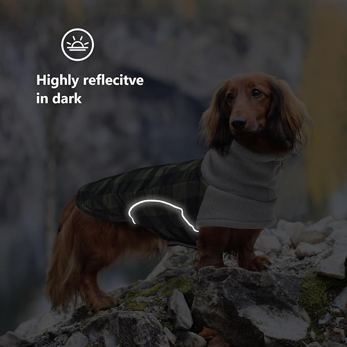 Dog Winter Coat,Dachshund Clothes,Waterproof Miniature Dachshund Jacket with Harness Hole,Dachshund Jumper with Turtle Neck,British Style-Green Plaid-L