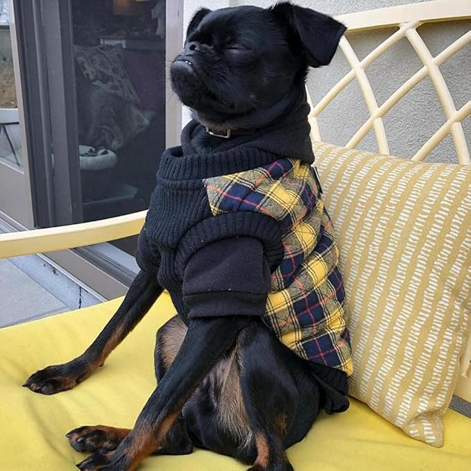 Gooby Fashion Vest Check Dog Jacket - Yellow Check, Large - Warm Zip Up Bomber Vest Dual D Ring Leash - Winter Water Resistant Sweater - Clothes for Small or Medium Dogs