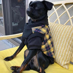 Gooby Fashion Vest Check Dog Jacket - Yellow Check, Large - Warm Zip Up Bomber Vest Dual D Ring Leash - Winter Water Resistant Sweater - Clothes for Small or Medium Dogs
