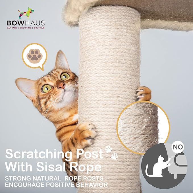 Tall Cat Tree for Indoor Large Cats or Kittens, Multi-Level Cat Activity Tree with Scratching Posts, Hammock, Cat Cave Condo, Modern Cute Small Cat Climbing Tower with Widened Perch