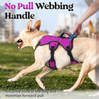 rabbitgoo Escape Proof Dog Harness, Soft Padded Full Body Pet Harness, Reflective Adjustable No Pull Vest with Lift Handle and Leash Clip for Large Dogs Walking Hiking Training, M, Purple