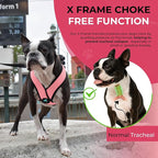 Gooby Comfort X Head in Harness - Pink, Large - No Pull Small Dog Harness Patented Choke-Free X Frame - Perfect on The Go Dog Harness for Medium Dogs No Pull or Small Dogs for Indoor and Outdoor Use