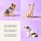 Downtown Pet Supply Step in Dog Harness for Small Dogs - Adjustable, Escape Proof Dog Harness with Reflective Trim - All-Weather, Fast-Drying Padded Mesh Fabric - Lilac, XS