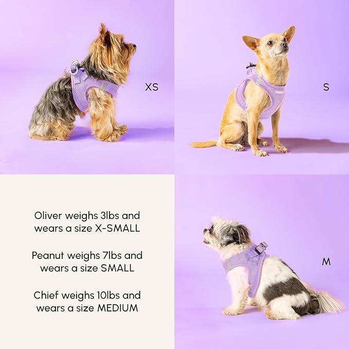 Downtown Pet Supply Step in Dog Harness for Large Dogs - Adjustable, Escape Proof Dog Harness with Reflective Trim - All-Weather, Fast-Drying Padded Mesh Fabric - Lilac, L