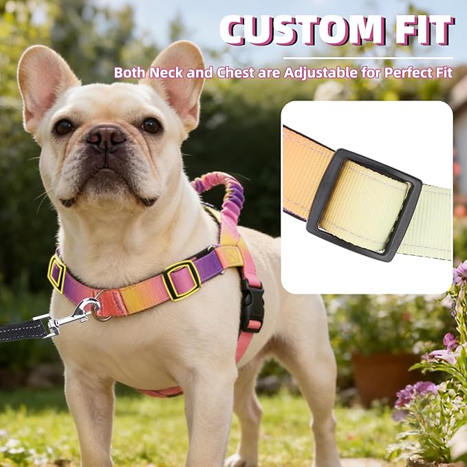 PUPTECK No Pull Dog Harness Small Sized Dog, Adjustable Reflective Pet Vest Harness with Bungee Handle, Escape Proof No Choke Harness for Small Dogs Walking Training, Pink & Purple S