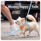 rabbitgoo Dog Harness Small Sized and Leash Set, Step in Soft Light Puppy Vest, Breathable Mesh Pet Harness, Reflective for Safe Easy Walking, Blue & Orange XXXS