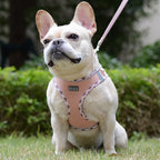 Mercano Soft Mesh Dog Harness and Leash Set, No-Chock Step-in Reflective Breathable Lightweight Easy Walk Vest Harnesses with Safety Buckle for Small Dogs, Cats (Champagne, XXS)