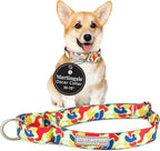 Lucky Love Dog Martingale Dog Collar - Adjustable, No-Slip, Durable, & Soft Webbing Collar for Male and Female Dogs Ideal for Training & Walking - Oscar, Small