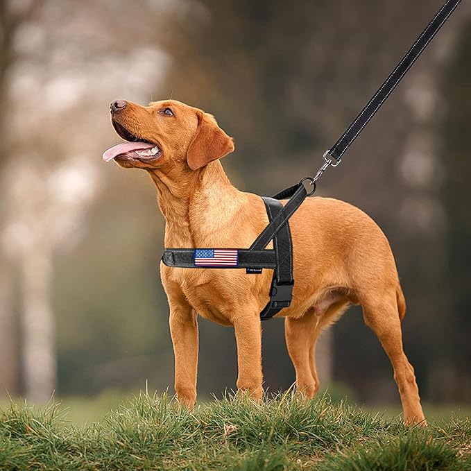 Annchwool No Pull Dog Harness with Padded Handle+5 Ft Leash,Reflective Strip Escape Proof and Quick Fit to Adjust Dog Harness,Easy for Training Walking for Small & Medium and Large Dogs(Black-Set,L)