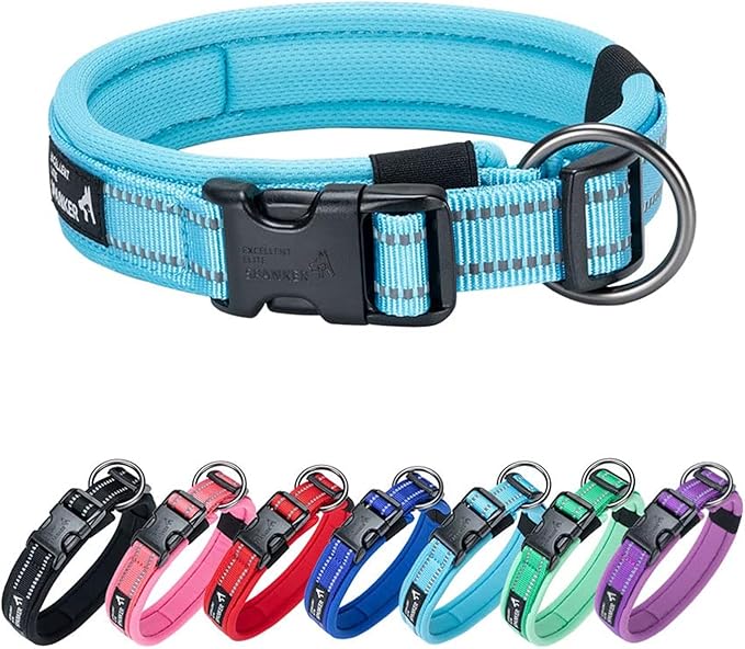EXCELLENT ELITE SPANKER Reflective Dog Collar Classic Soft Padded Breathable Nylon Adjustable Pet Collar with Quick Release Buckle for Boy Girl Male Female Small Medium Large Dogs Training(LBLU-L)
