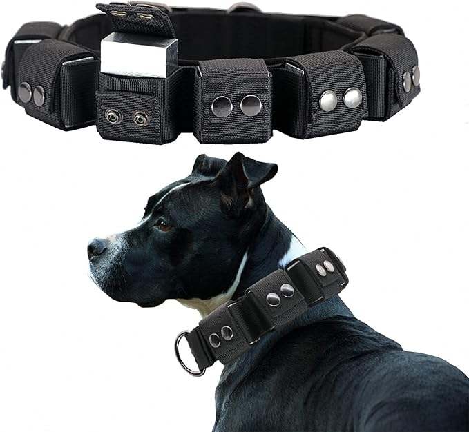Tactical Weighted Dog Collar - Weights for Training & Exercise - Free Weights, Small, Medium, Large Dogs