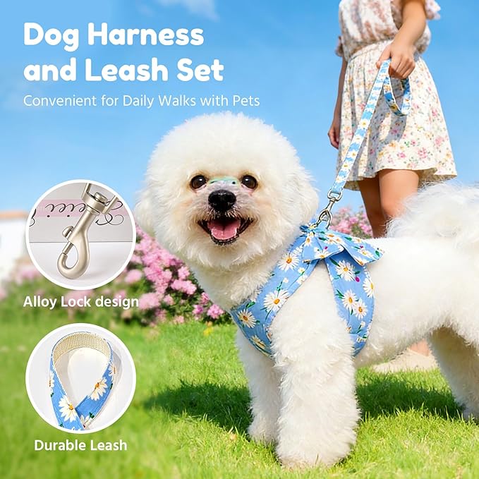 BAEJMJK Dog Harness and Leash Set with Bow Knot No Pull Pet Daisy Floral Harness with D-Ring Soft Mesh Dog Harness Vest Set Escape Proof Princess Puppy Harness for Small Girl Dogs Cats（Blue B M）