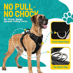 No Pull Dog Harness and Leash Set for Extra Large Dogs – Adjustable Reflective Breathable Soft Padded Easy Control Dog Harness for Training & Walking, Black (X-Large)