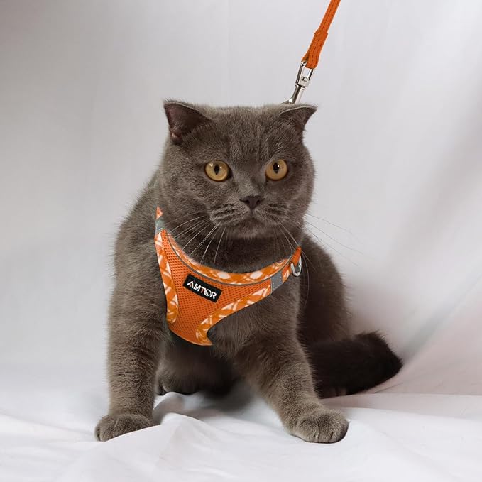 AMTOR Small Dog Harness with Leash Set, No Escape Easy Walk Puppy Harnesses for Training Walking, Step-in Reflective Soft Dogs Vest for XS S Medium Extra-Small Large Sized Dog(M Size,Orange/White)