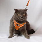 AMTOR Small Dog Harness with Leash Set, No Escape Easy Walk Puppy Harnesses for Training Walking, Step-in Reflective Soft Dogs Vest for XS S Medium Extra-Small Large Sized Dog(XS Size,Orange/White)