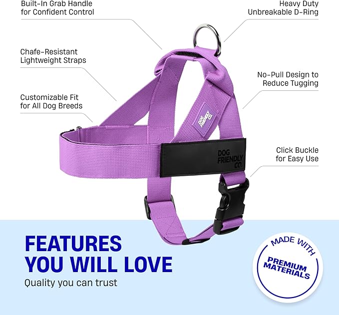 DF Co. Dog Harness | Chafe Resistant Webbing, Adjustable Neck & Chest, and Heavy Duty D-Ring | Sturdy, Comfortable, Easy to Use | Purple, Size L