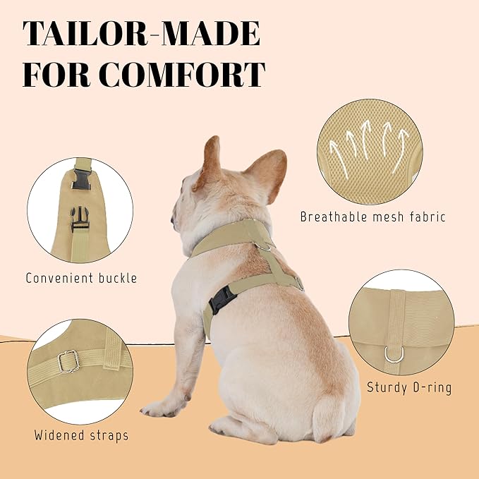 AVERYDAY Dog Tuxedo for Wedding Outfit, Dog Suit and Tie Costumes for Birthday, Halloween, Cosplay, Christmas Party, Pet Formal Wear with Bowtie, Tux for Small Dogs, Chihuahua, Bichon, Maltese, Cats